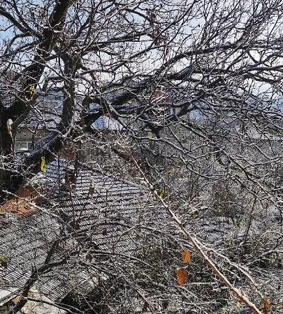 за гости ореха Private Oreha Troyan (Lovech)