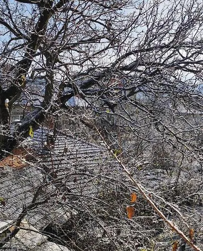 за гости ореха Private Oreha Troyan (Lovech)